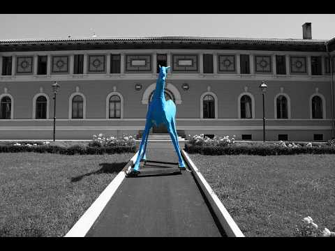 I cavalli bleu I cavalli bleu